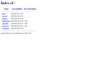 Tablet Screenshot of mynextbrain.com